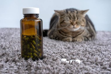 Hasta hapları şişeden dökülmesini için hasta kedi ilaç