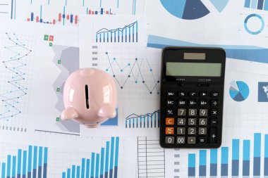 Finans veri hesap makinesi ile ekonomi yatırım planlama bütçe Analizi