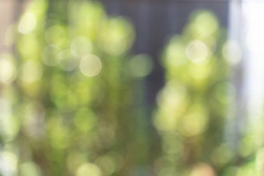 Odak arka plan dışarı yeşil bokeh