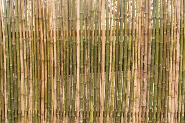 Bambu bambu çit doku b yapılmış duvarın arka plan