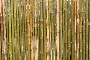 Bambu bambu çit doku b yapılmış duvarın arka plan