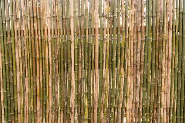 Bambu bambu çit doku b yapılmış duvarın arka plan