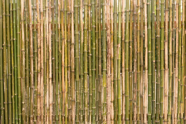 O fundo da parede feita de bambu cerca de bambu textura b — Fotografia de Stock