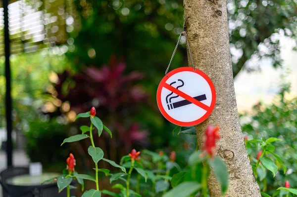Geen teken van roken met plaats niet roken teken park — Stockfoto
