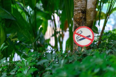 Hiç Sigara İçilmez işareti yer ile değil işareti park Sigara