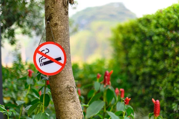 Nichtraucherschilder mit Platzschild Parken verboten — Stockfoto