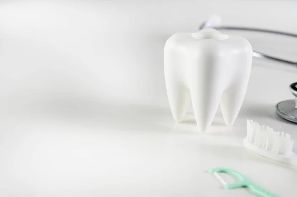 Tandheelkundige concept tandheelkundige model en tandheelkundige apparatuur tandhygiëne — Stockfoto