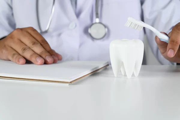 Higiene dentária e educação Dente, saúde, conceito de odontologia — Fotografia de Stock