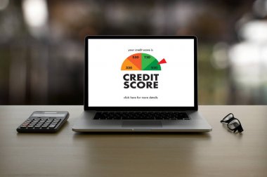 Kredi Puan edinildi (işadamı kredi puanı Online ve Finan denetleme