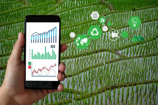 Agrartechnologie Konzept Mann Agronom mit einem Tablet in — Stockfoto