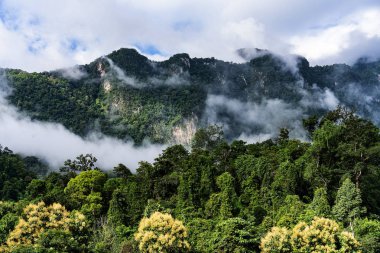 Yaz aylarında dağ yol manzara arazi yeşil arazi doğa görünümü