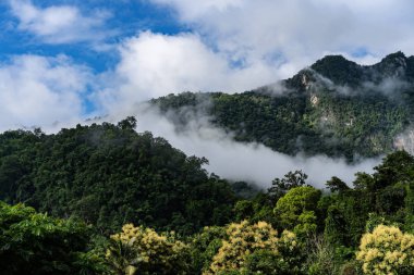 Yaz aylarında dağ yol manzara arazi yeşil arazi doğa görünümü