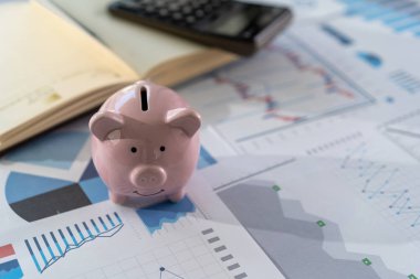 bir hesap makinesi finans muhasebe concep kullanarak çalışan işadamı