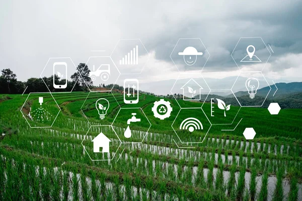 Agricultura Tecnología Concepto Hombre Agrónomo Uso Una Tableta Internet Las —  Fotos de Stock