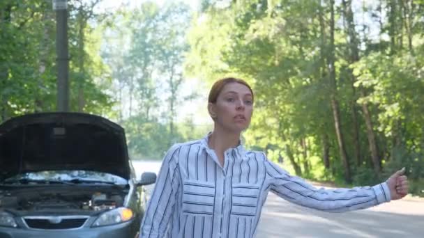 Γυναίκα στο βάθος ενός χαλασμένου αυτοκινήτου στο δάσος που έκανε ωτοστόπ σε άλλα αυτοκίνητα. Αγχωμένη γυναίκα οδηγός στέκεται μπροστά από την ανοιχτή κουκούλα. Σπάσιμο, πρόβλημα. — Αρχείο Βίντεο