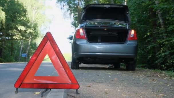 Um carro partido na floresta. Triângulo vermelho como sinal de paragem de emergência. Acidente de carro na estrada. — Vídeo de Stock