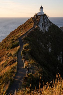 Nugget Point 'in bir kısmı Yeni Zelanda' nın Otago kıyıları boyunca deniz feneri ve kayalık adaların dağılımıyla en güzel manzaralardan biridir..
