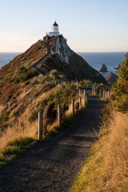 Nugget Point 'in bir kısmı Yeni Zelanda' nın Otago kıyıları boyunca deniz feneri ve kayalık adaların dağılımıyla en güzel manzaralardan biridir..