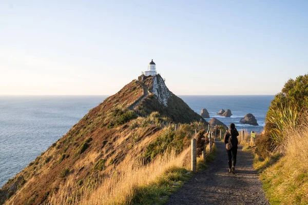 Nugget Pointの一部は 灯台と岩の島の散乱を持つニュージーランドのオタゴ海岸沿いで最も美しい地形の1つです — ストック写真