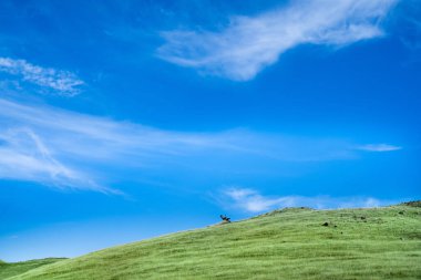 Küçük tepelerdeki yeşil çimen tarlası ve bulutlu mavi gökyüzü. Metin için alanı kopyala.