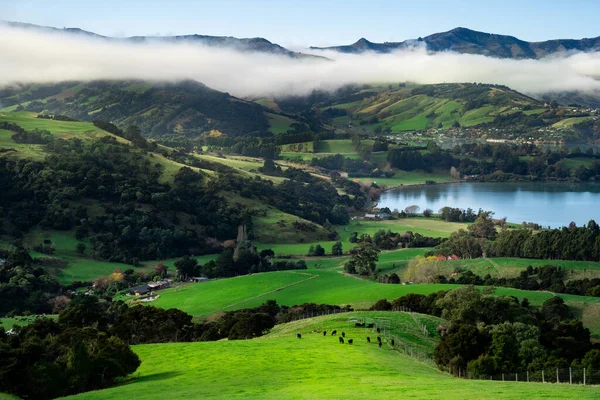 Sisli sabahta dağların silueti. Kış başında dağların manzarası. Güzel doğa manzarası. Banka Yarımadası, Robinsonlar Körfezi, Canterbury, Kuzey Zelanda.