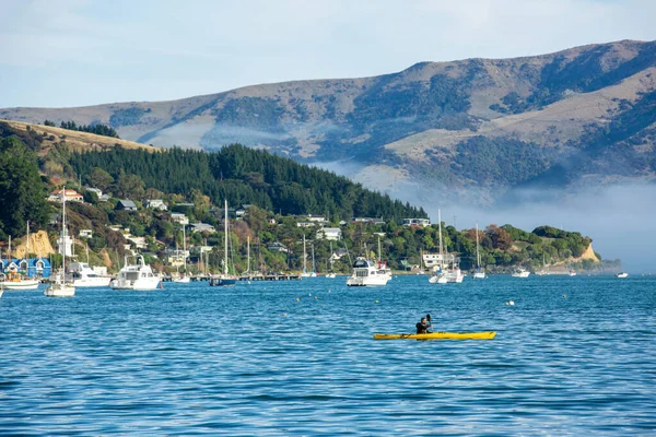 Zeekajakken Akarou Bay Canterbury Nieuw Zeeland — Stockfoto