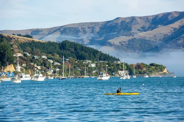 Tengeri Kajak Akarou Öbölben Canterbury Zéland — Stock Fotó