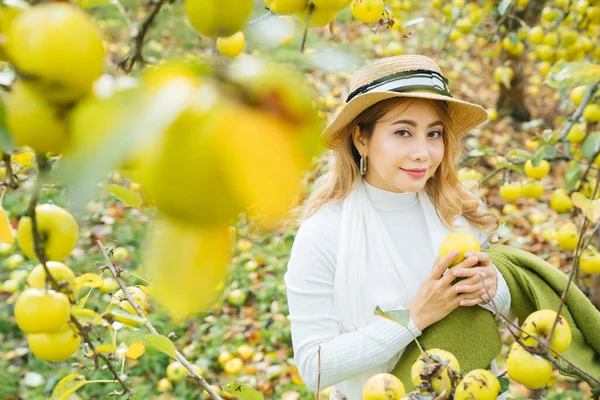 Piękna Azji Kobieta Zbieranie Zielony Jabłko Jabłko Sad — Zdjęcie stockowe