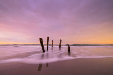 Dunedin, Yeni Zelanda 'daki St. Clair Sahili' nde eski iskele yığınlarının güzel gündoğumu.