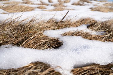 Donmuş kuru çayırlarla kaplı doğal arka plan. Soğuk bir sabahta parlak şeffaf buz kristalleriyle kaplı. Yakın çekim..
