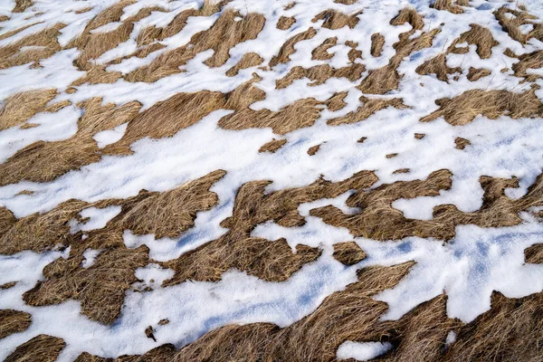 Donmuş Kuru Çayırlarla Kaplı Doğal Arka Plan Soğuk Bir Sabahta — Stok fotoğraf