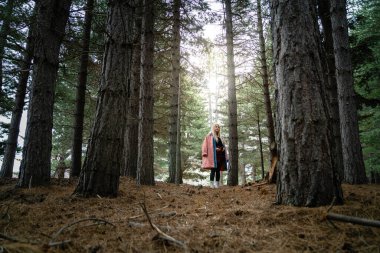 Güzel Asyalı kadın bir çam ormanının ortasında dinleniyor..