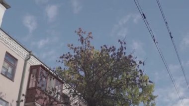 adam bir kaykay sürme