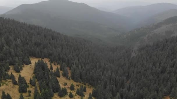 Tiro Aéreo Com Vista Para Montanhas Floresta Muitos Abetos — Vídeo de Stock