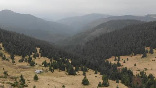 Aerial Shot Overlooking Mountains Forest Many Firs — Stock Video