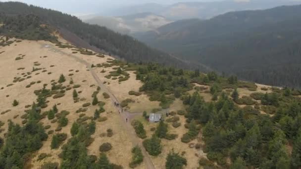 Aerial Shot Overlooking Mountains Forest Many Firs — Stock Video