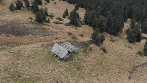 Disparo Aéreo Con Vistas Las Montañas Bosque Muchos Abetos — Vídeos de Stock