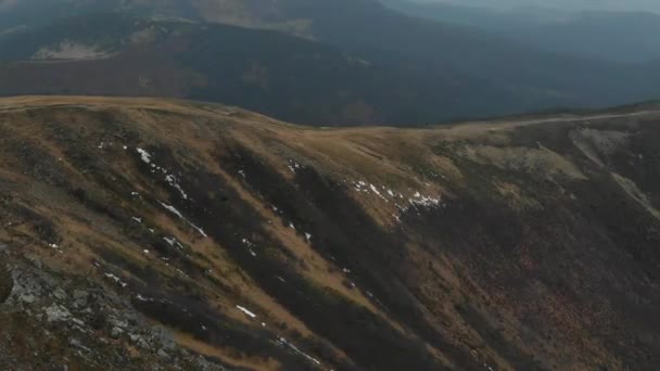 Tiro Aéreo Com Vista Para Montanhas Floresta Muitos Abetos — Vídeo de Stock