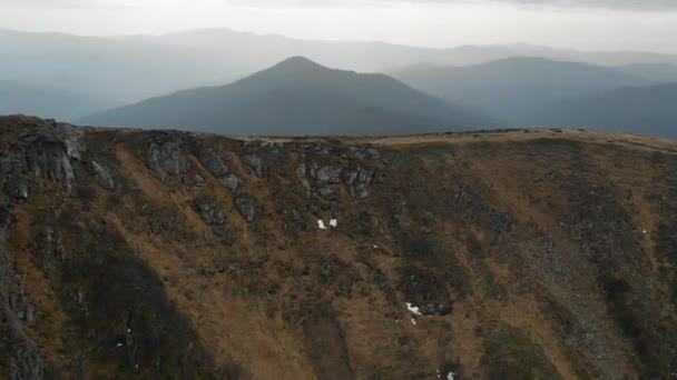 Zdjęcia Lotnicze Widokiem Góry Wiele Jodły Lesie — Wideo stockowe