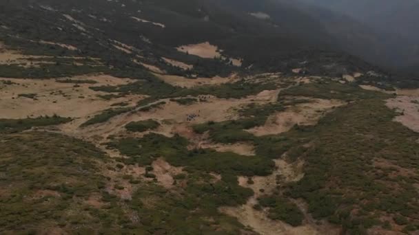 Vue Aérienne Surplombant Les Montagnes Forêt Nombreux Sapins — Video