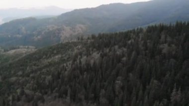 Hava atış dağlara bakan. Birçok firs orman
