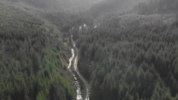 Φάρος Θέα Στα Βουνά Δάσος Πολλές Έλατα — Αρχείο Βίντεο