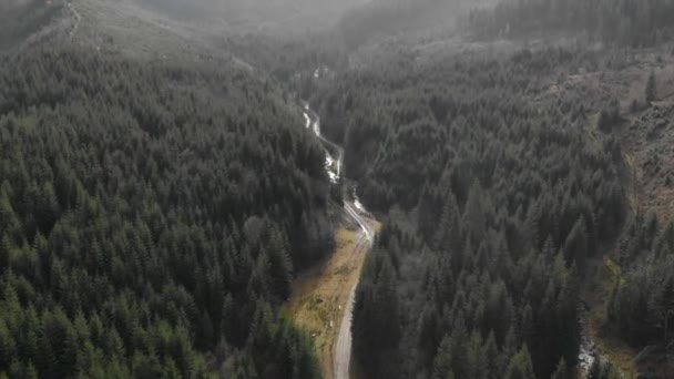 Aerial Shot Overlooking Mountains Forest Many Firs — Stock Video