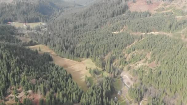 Disparo Aéreo Con Vistas Las Montañas Bosque Muchos Abetos — Vídeo de stock