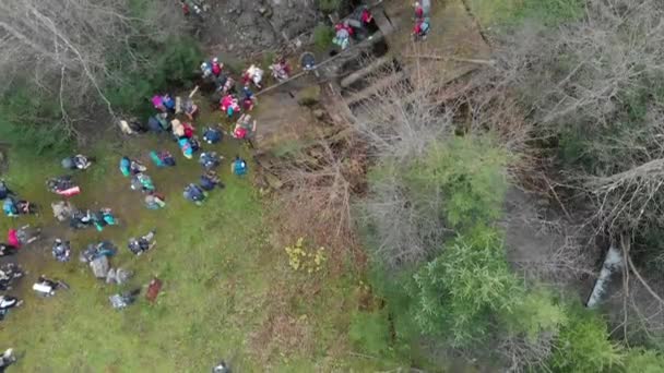 Disparo Aéreo Con Vistas Las Montañas Bosque Muchos Abetos — Vídeos de Stock