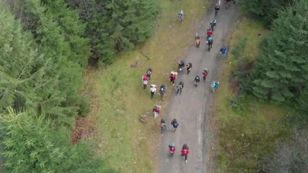 Disparo Aéreo Con Vistas Las Montañas Bosque Muchos Abetos — Vídeo de stock