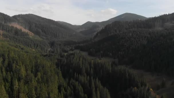 Tiro Aéreo Com Vista Para Montanhas Floresta Muitos Abetos — Vídeo de Stock