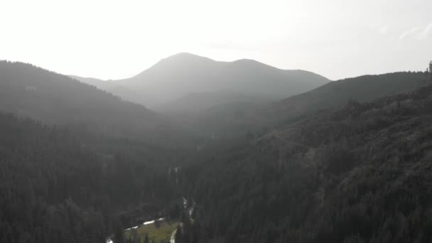 Disparo Aéreo Con Vistas Las Montañas Bosque Muchos Abetos — Vídeos de Stock