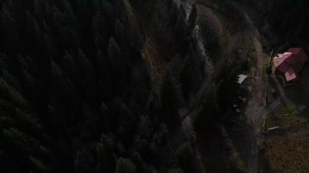Vue Aérienne Surplombant Les Montagnes Forêt Nombreux Sapins — Video