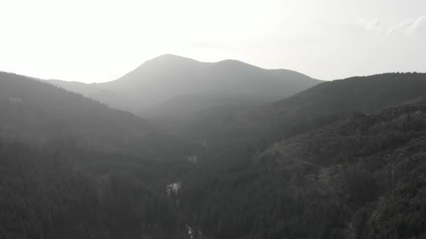 Disparo Aéreo Con Vistas Las Montañas Bosque Muchos Abetos — Vídeo de stock